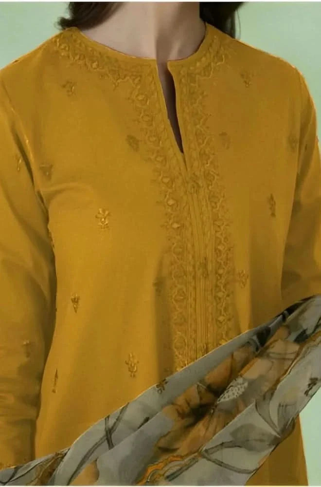 3 PIECE-EMBROIDERED DHANAK SUIT-BG823