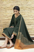 3 PC - EMBROIDERED DHANAK-BG578